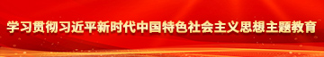 逼喷水视频学习贯彻习近平新时代中国特色社会主义思想主题教育